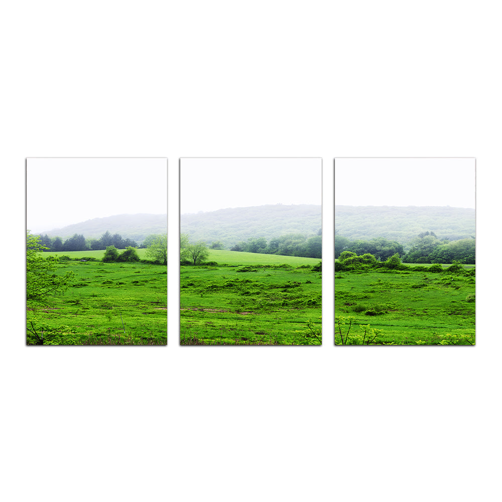 Tarrywile Park Stunning Wall Art for Your Home