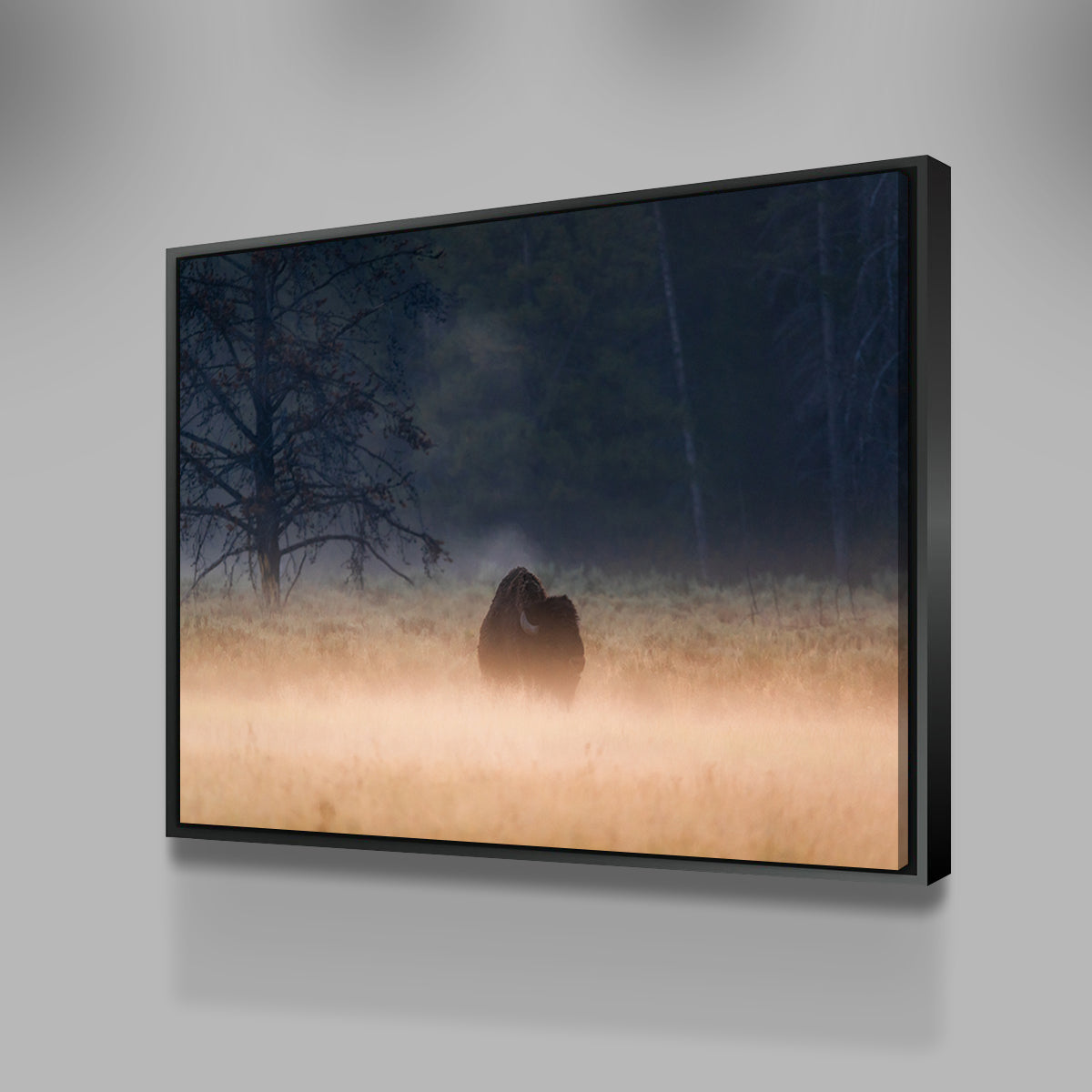 Enchanting Foggy Morning Wall Art by Lucas Moore