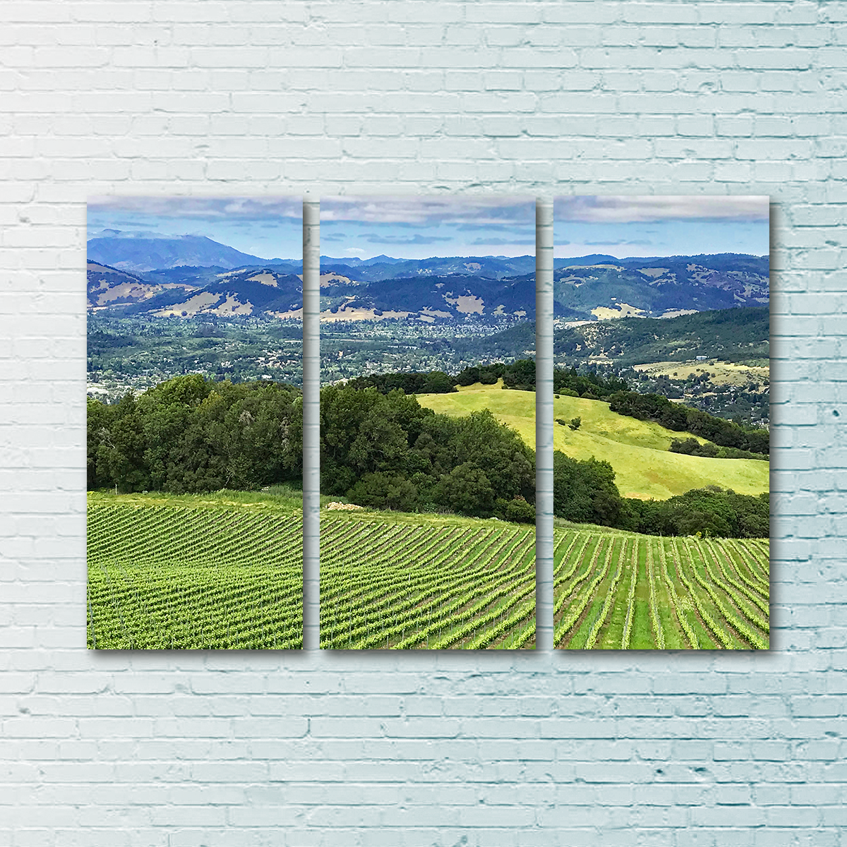 Stunning Rolling Hills and Vineyards of Sonoma County Wall Art for Your Home Decor