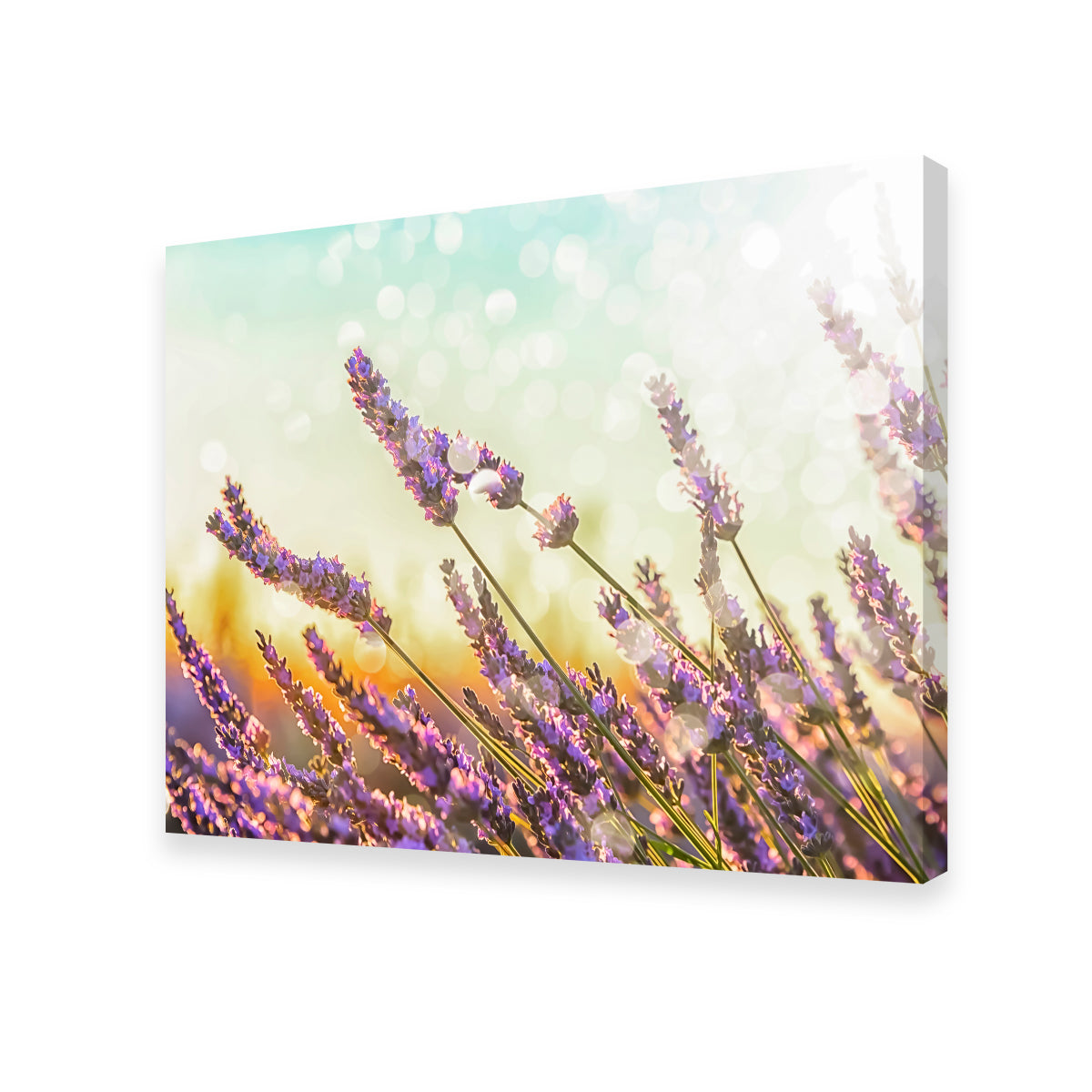 Gorgeous Sparkling Lavender Wall Art by Manjik Pictures