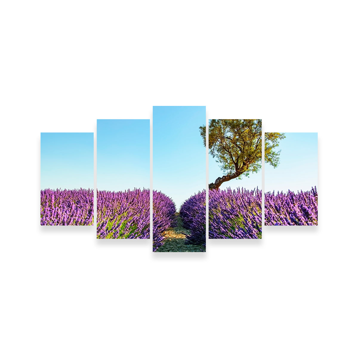Exquisite Provence Landscape Wall Art for Stunning Home Decor
