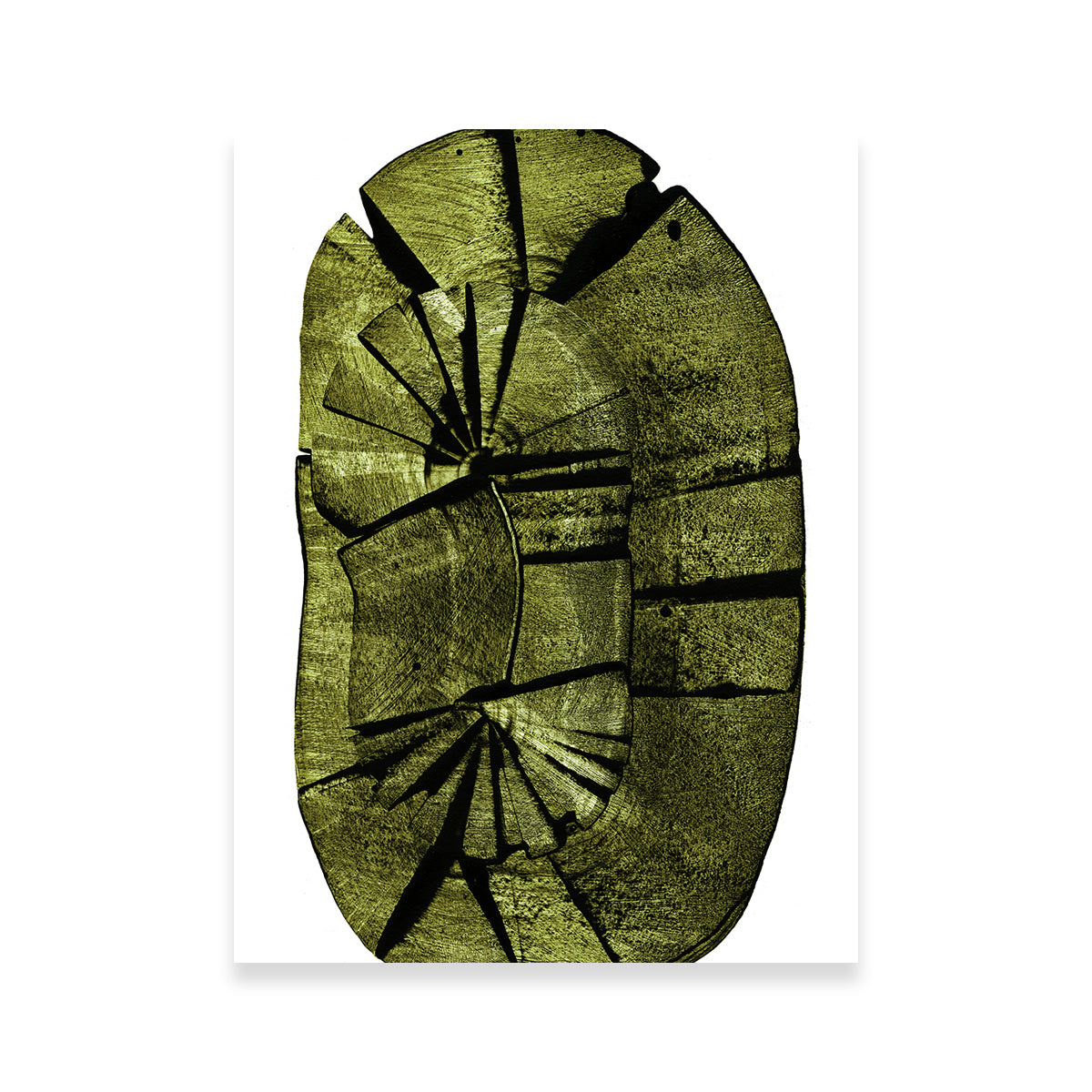 Exquisite Oval Stump Wall Art by Evgeny Vetrov