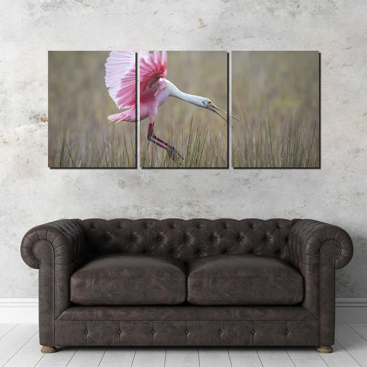 Stunning Roseate Spoonbill Wall Art from Merritt Island Wildlife Refuge