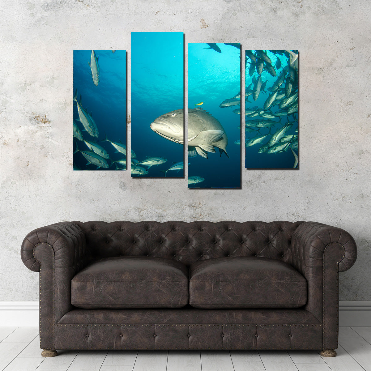 Exquisite Sea of Cortez Grouper Wall Art