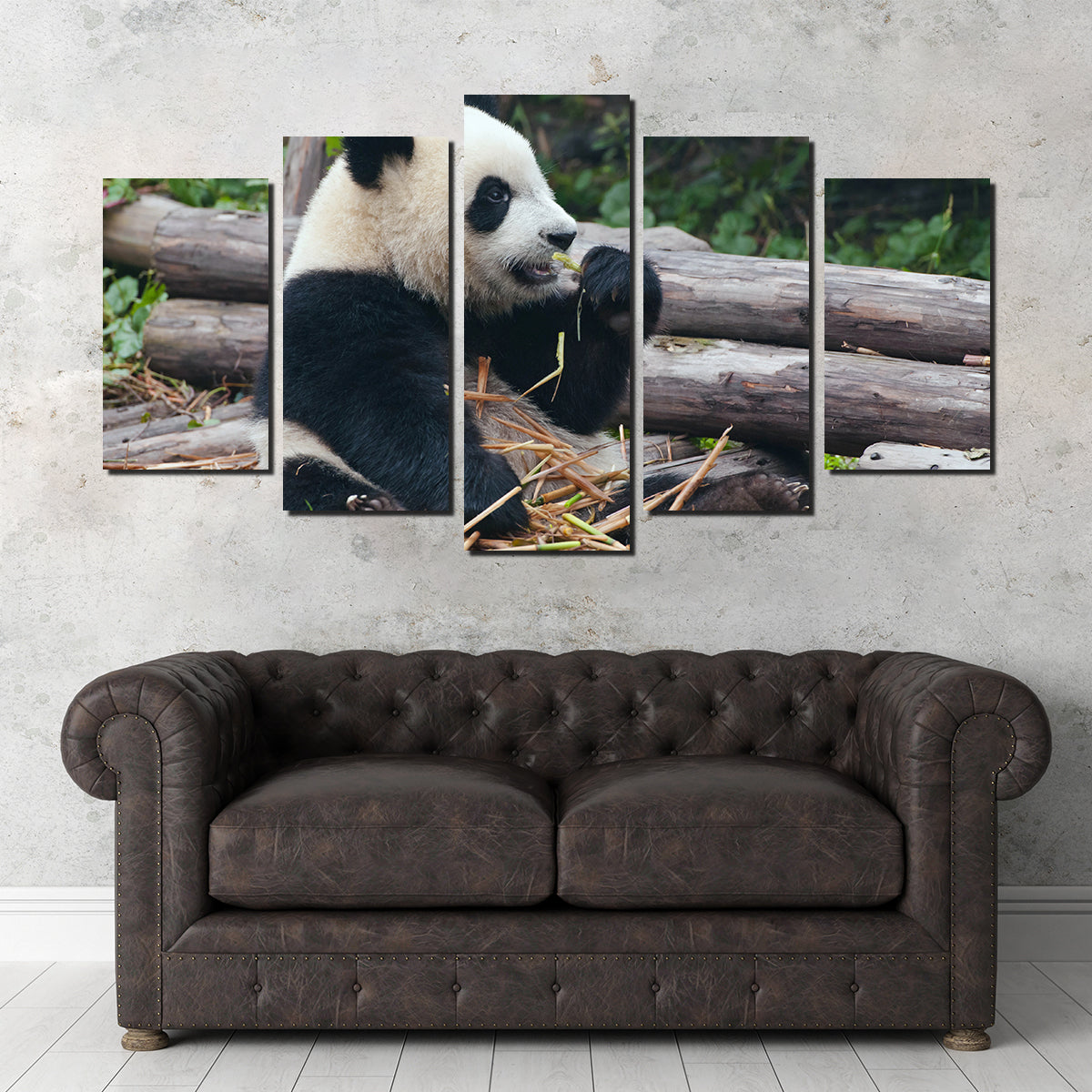 Adorable Panda Bear Eating Bamboo Wall Art for Home Decor