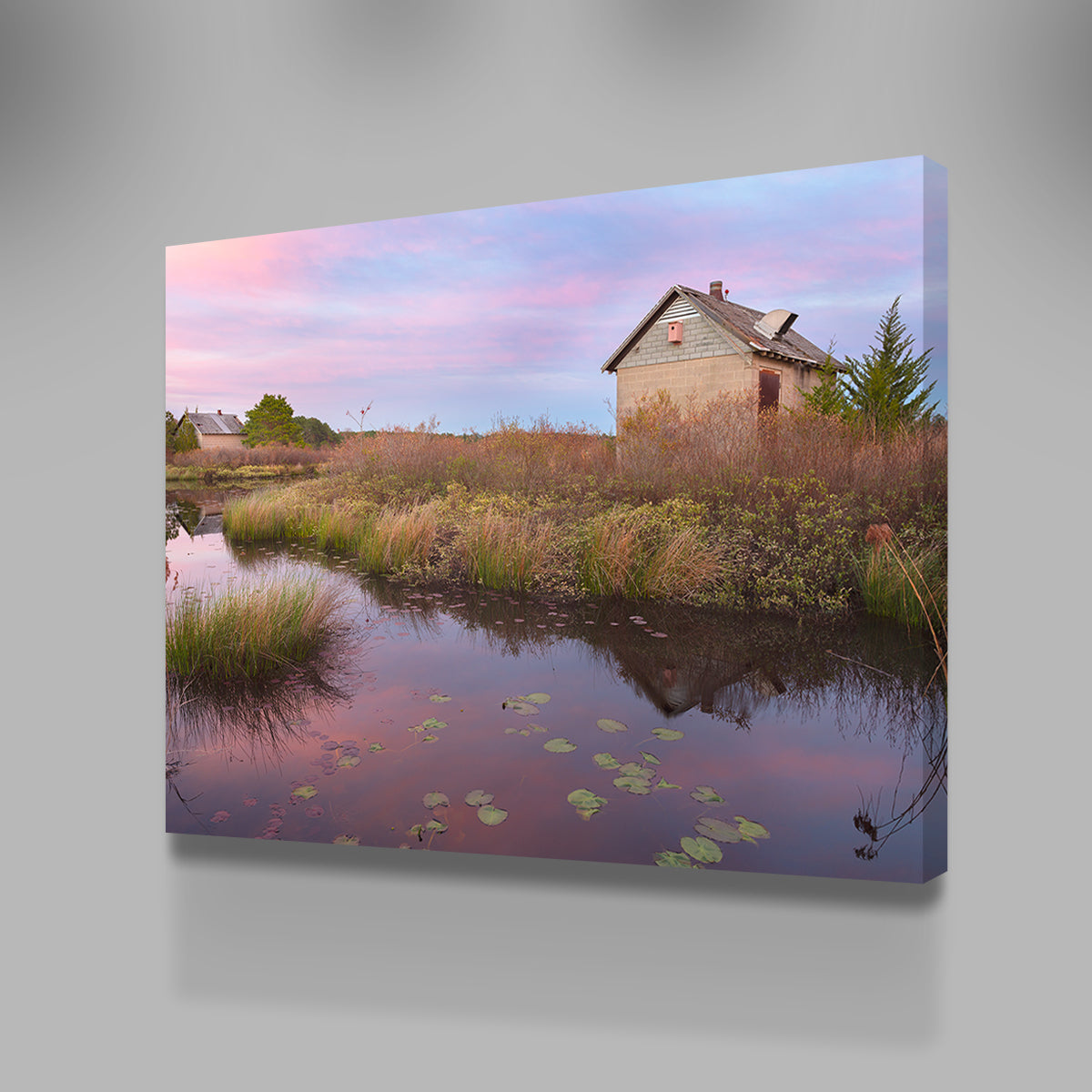 Beautiful Spring in the Bogs Wall Art by Shaun Mayer