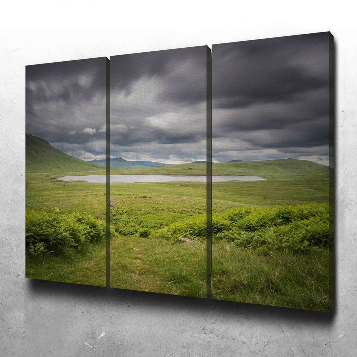 Stunning Lonely Pond Wall Art by Mike Cotton