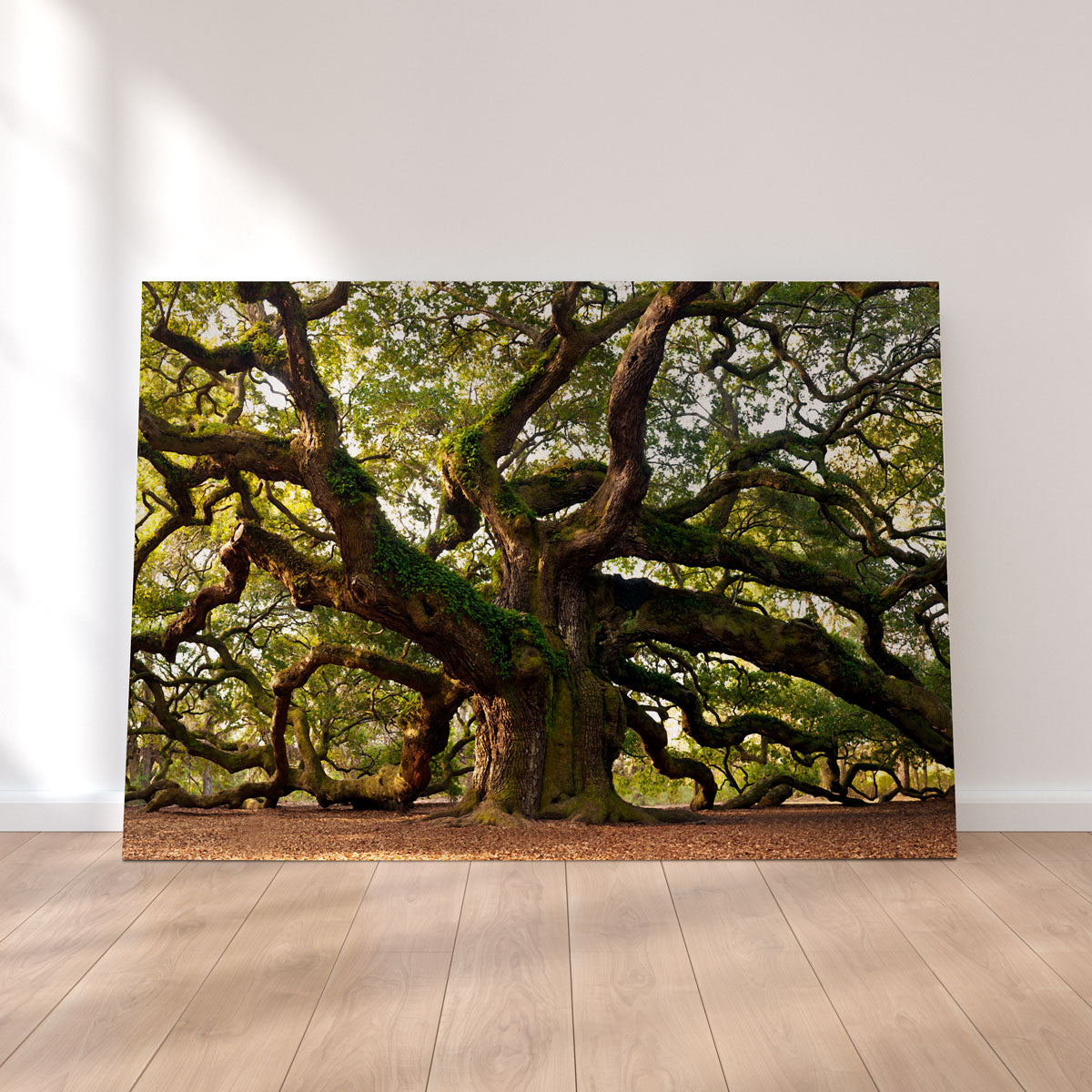 Exquisite Charleston Angel Oak Wall Art for Stunning Home Decor