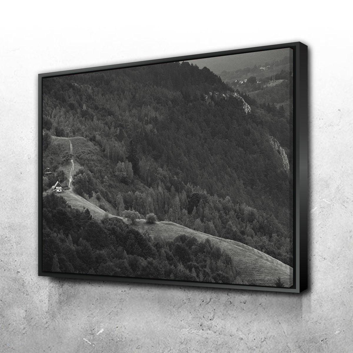 Exquisite Romania Hill Wall Art by George Sorin