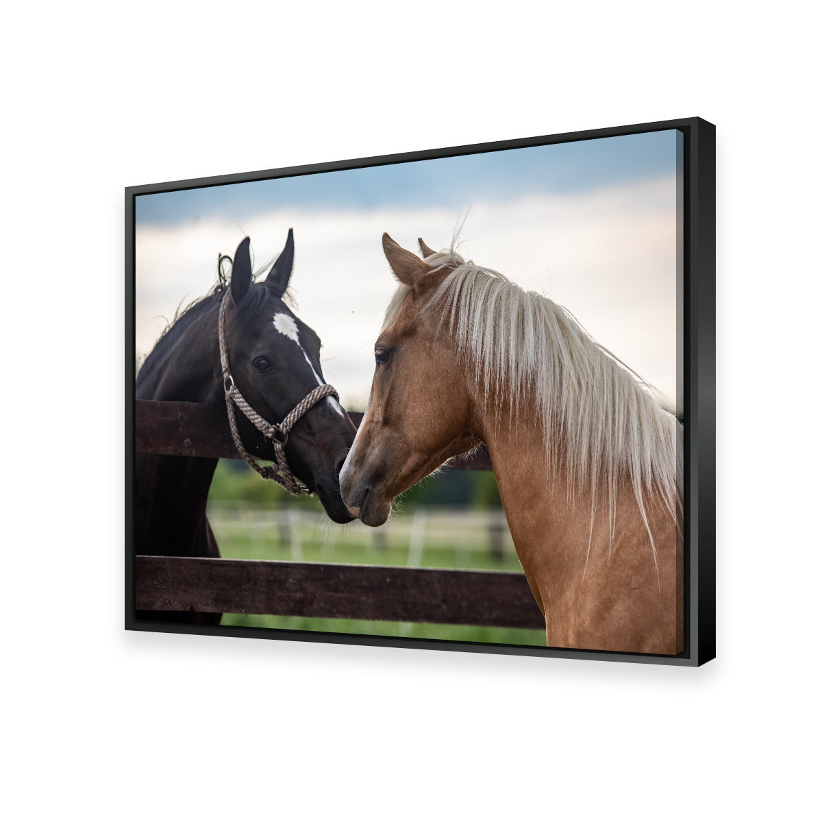 Exquisite Quarter Horses Wall Art for Stunning Decor