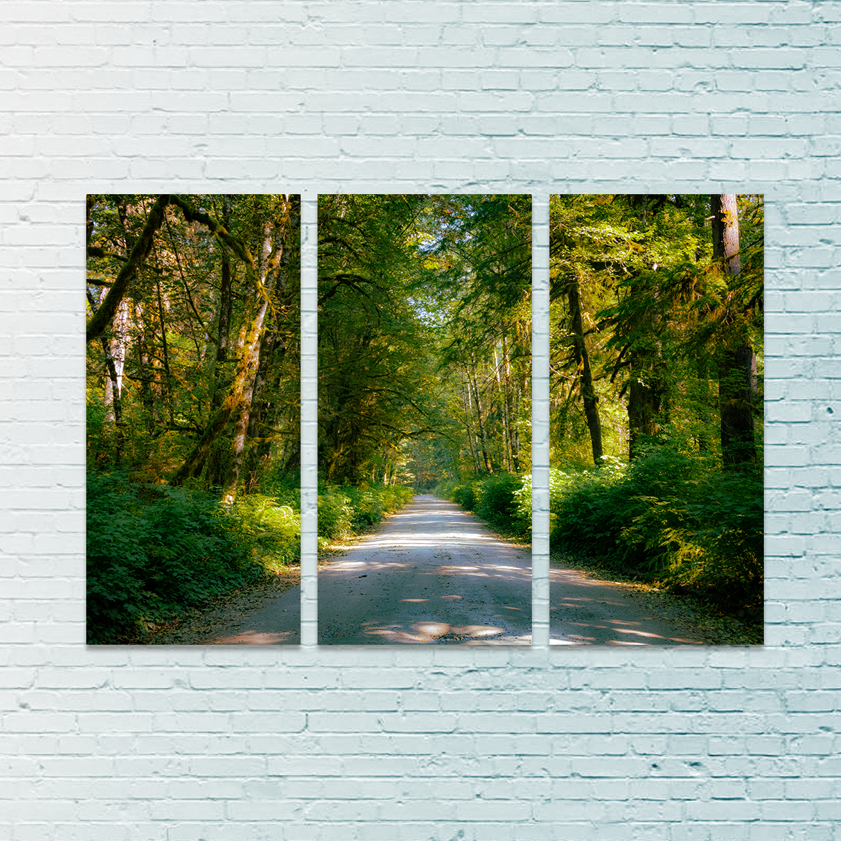 Exquisite Rainforest Road Wall Art by Kyle Sherry