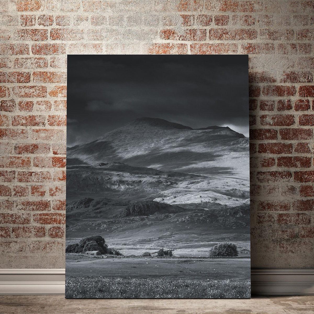 Breathtaking Prairie to Peak Wall Art by Mike Cotton