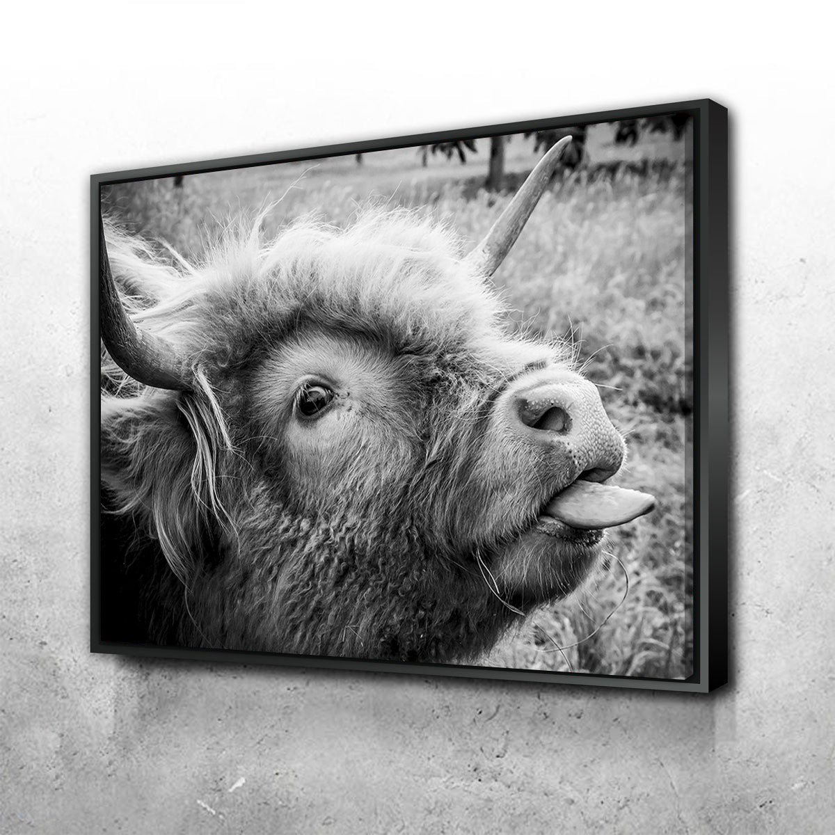 Hilarious Cow Wall Art for Home Decor