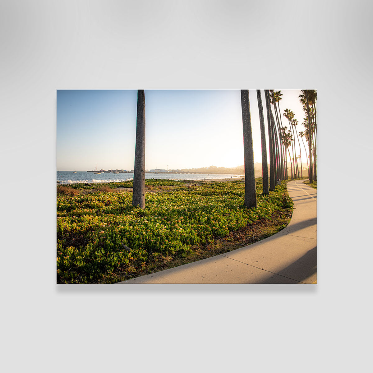 Stunning Santa Barbara Bike Path Wall Art by Kyle Sherry