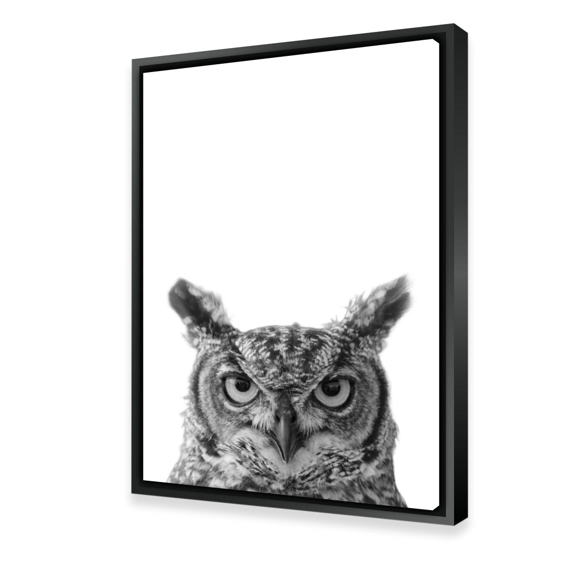 Stunning Owl Wall Art by Lawisi