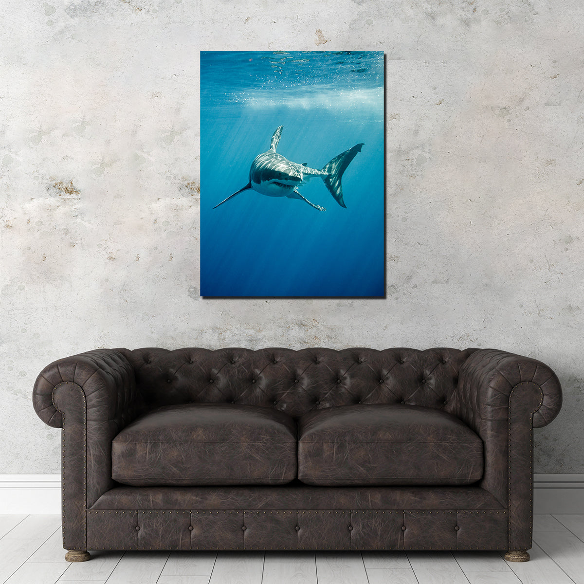 Stunning Great White Shark Swimming Wall Art for Home Decor