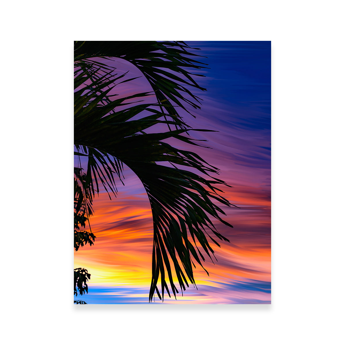 Exquisite Painted Palm Wall Art by Eileen Rollin