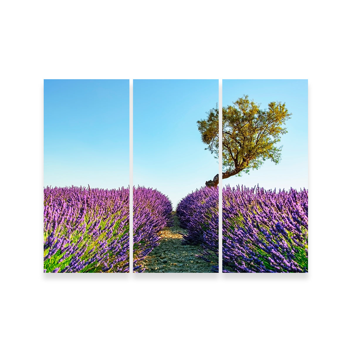 Exquisite Provence Landscape Wall Art for Stunning Home Decor