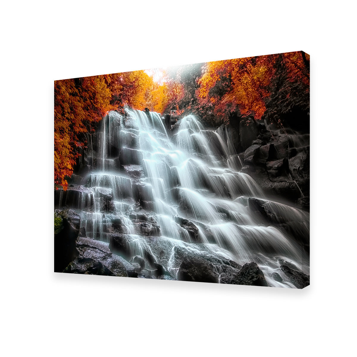 Exquisite Into The Wood Wall Art - Handmade with Sustainable Pine