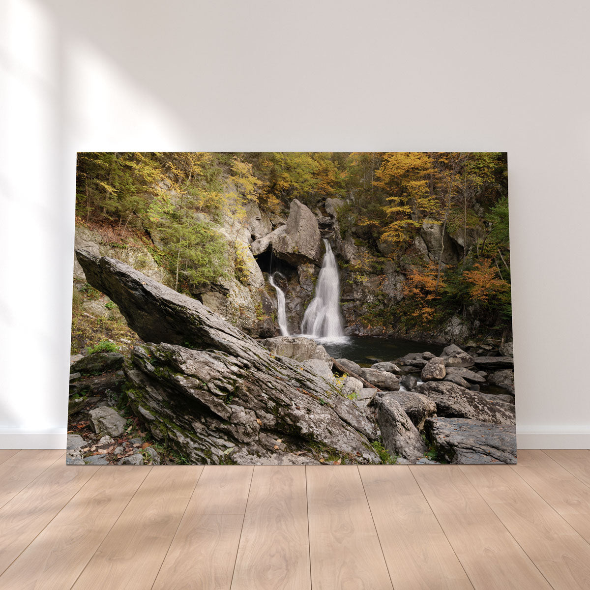 Stunning Pride Rock Wall Art by Shaun Mayer
