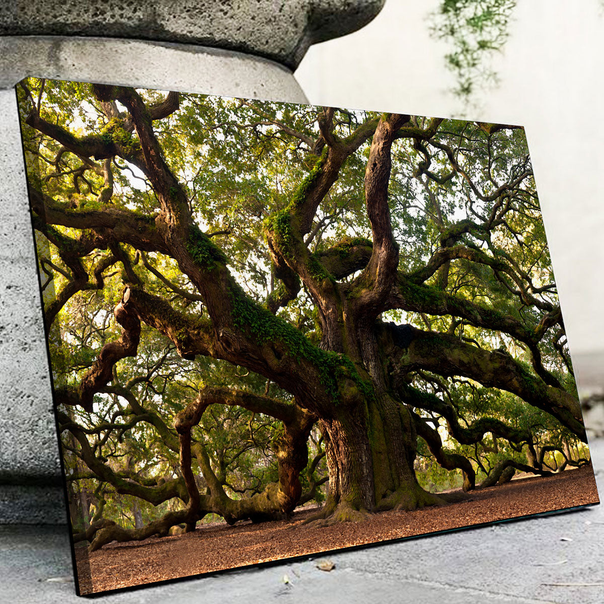 Exquisite Charleston Angel Oak Wall Art for Stunning Home Decor