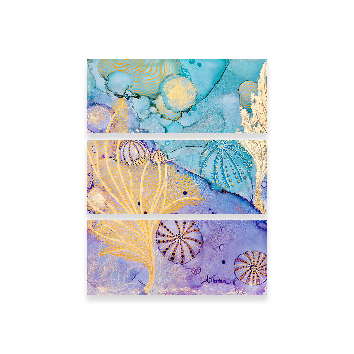 Exquisite Sea Urchin Hideaway Wall Art by Amy Tieman