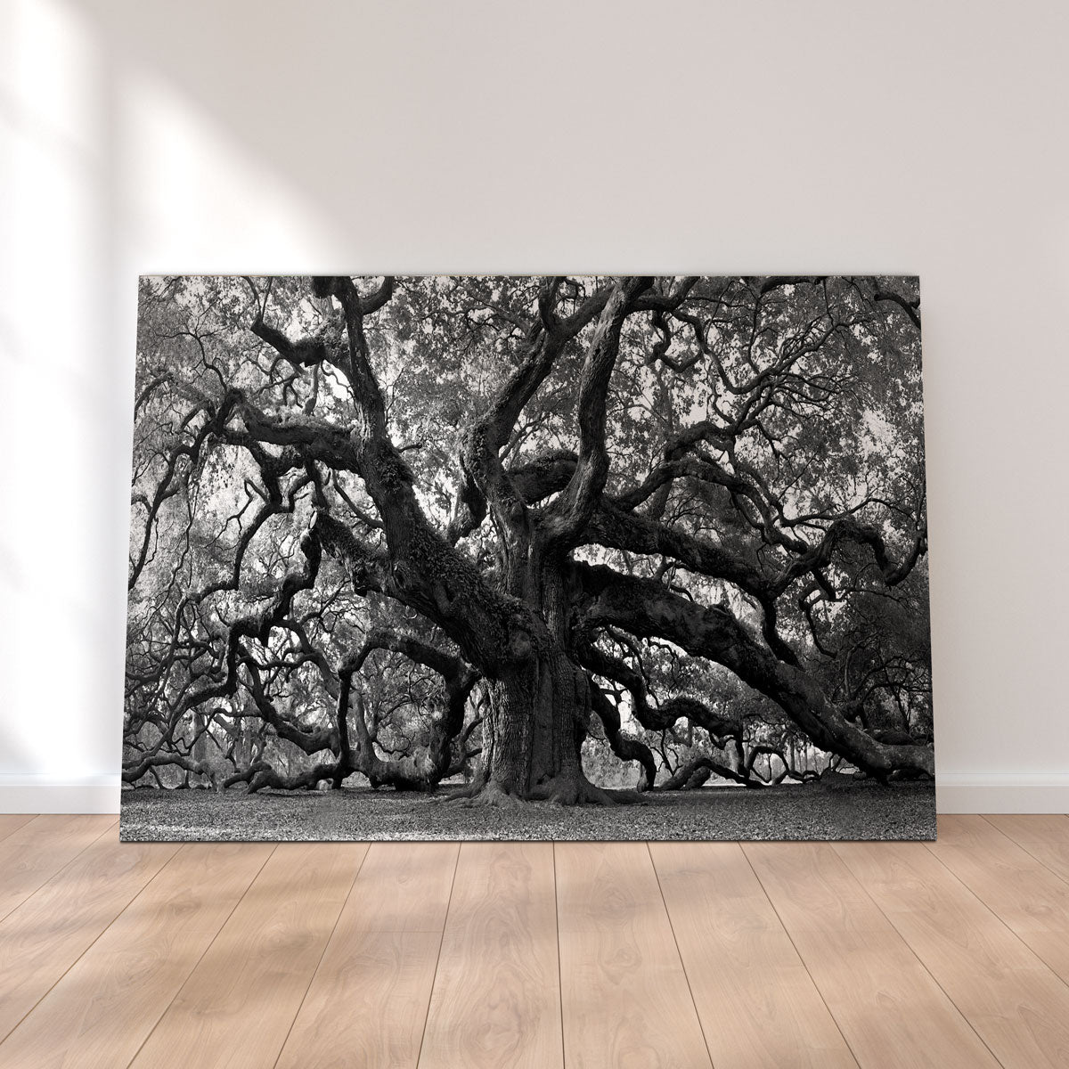 Stunning Charleston Angel Oak V2 Wall Art for Home Decor
