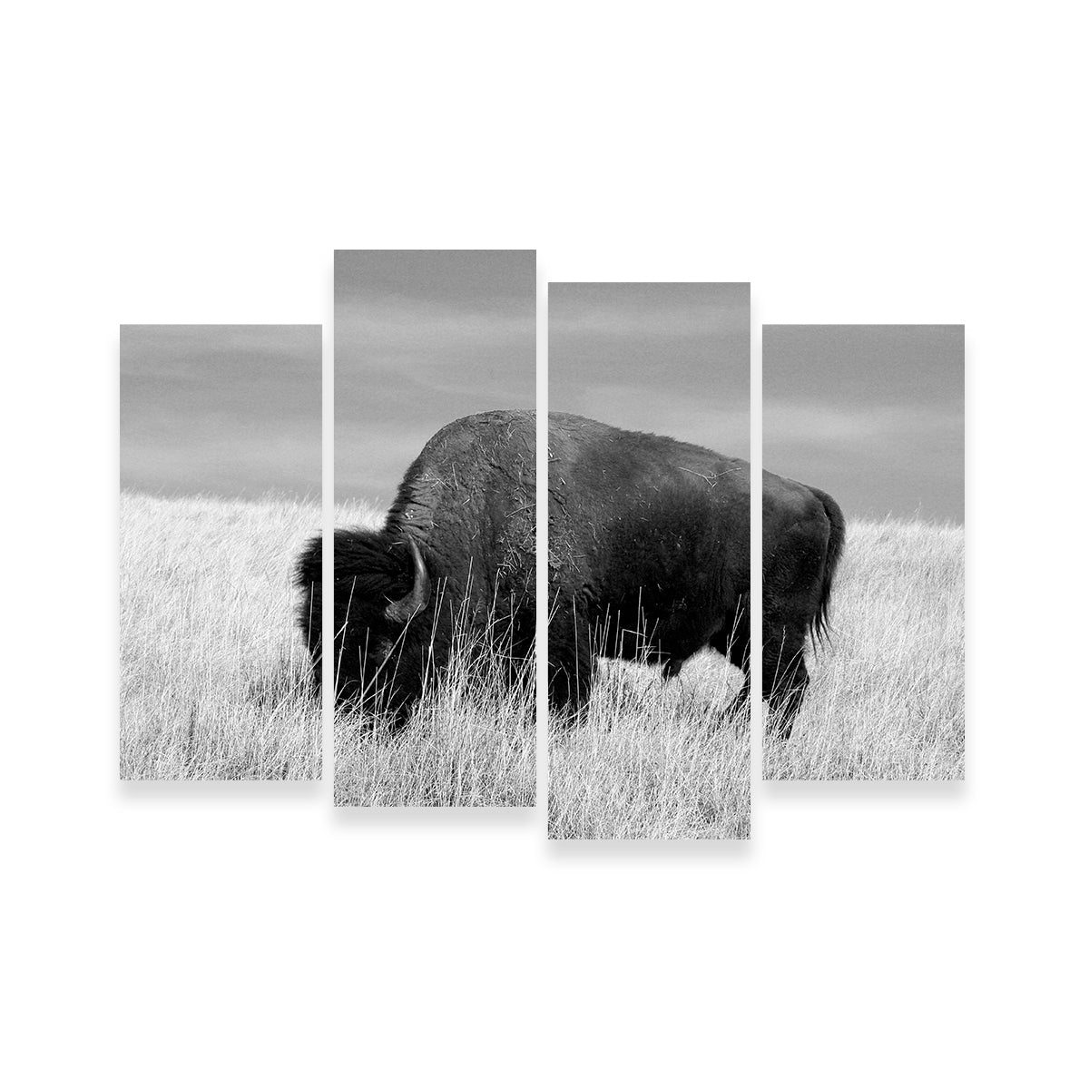 Lone Buffalo Grayscale Wall Art - Stunning Sustainable Decor