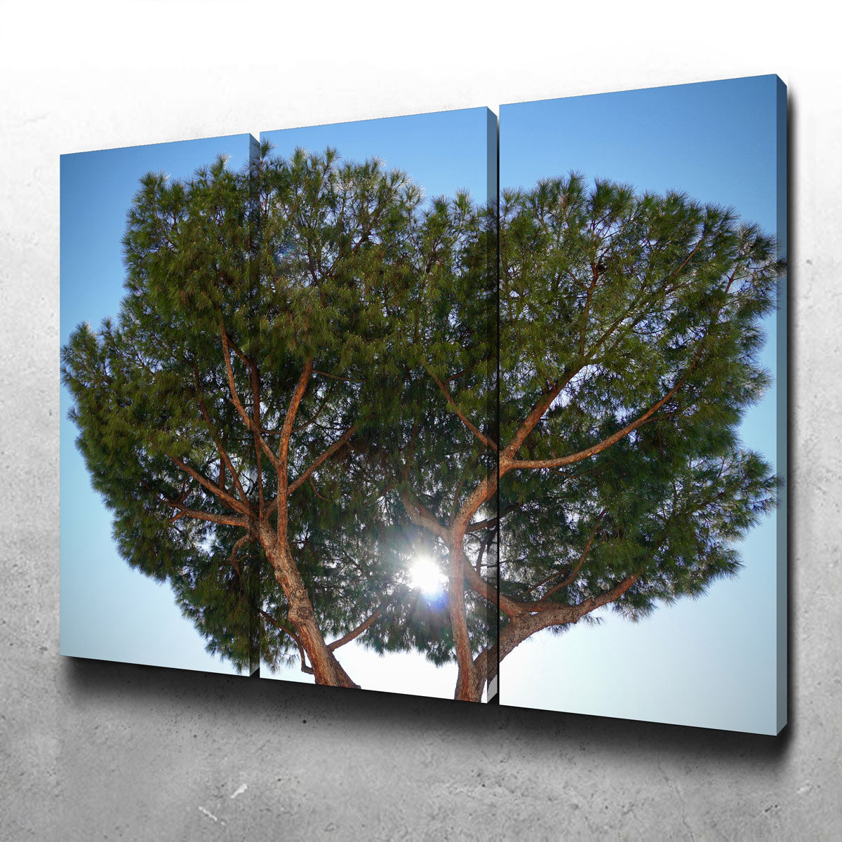 Exquisite Rome, Italy Wall Art by David Campbell