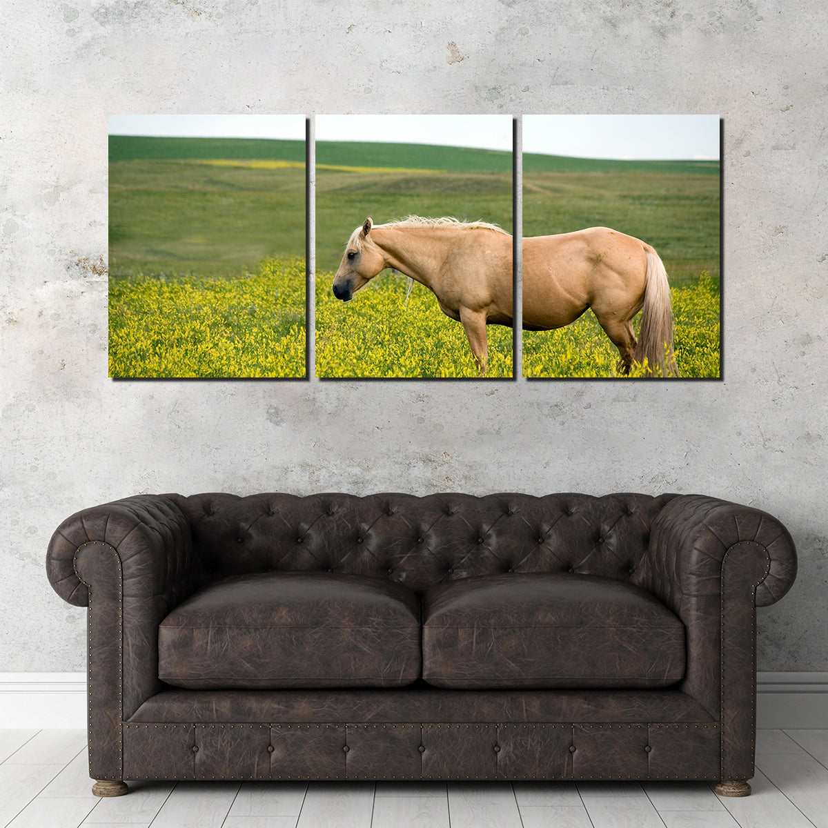 Stunning Palomino Quarter Horse Wall Art for Your Home Decor