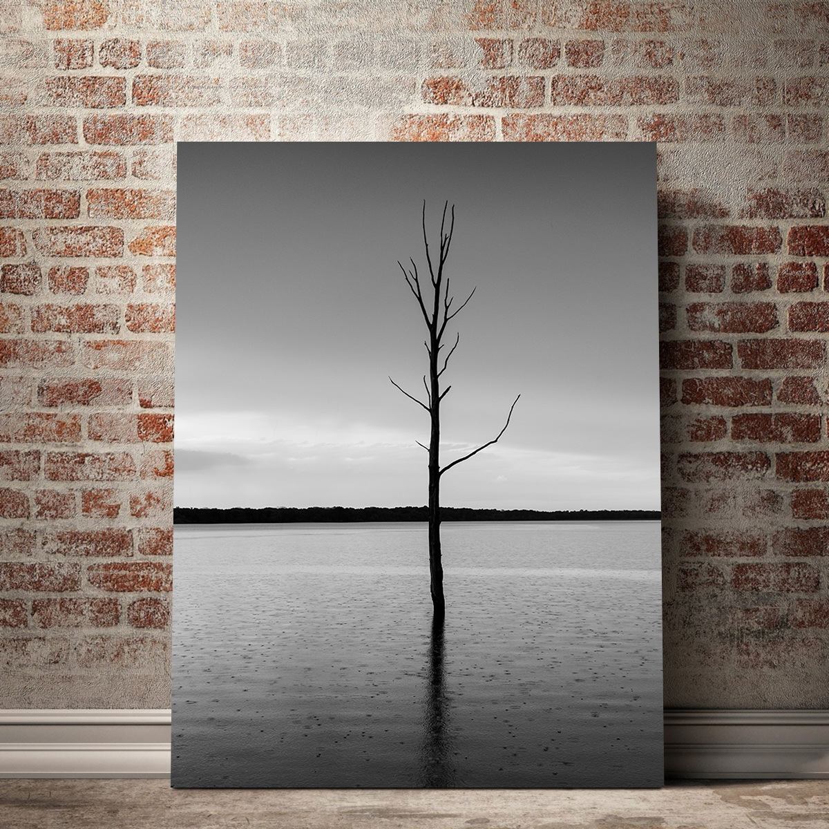 Stunning Isolated Droplets Wall Art by Dennis Maida