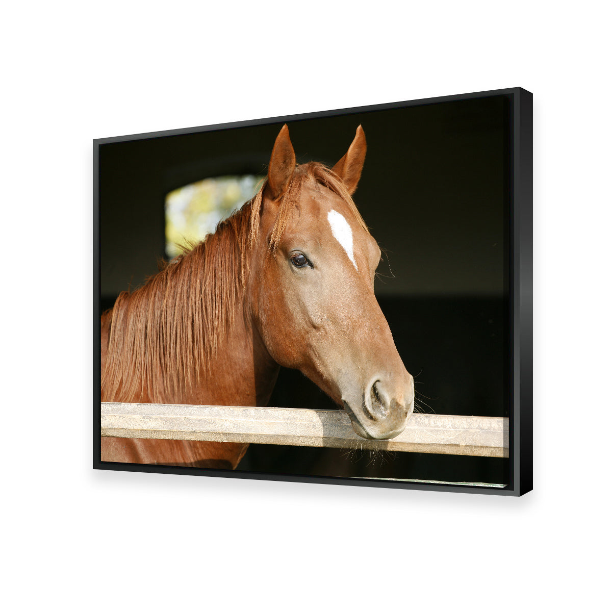 Stunning Chestnut Horse Wall Art for Home Decor