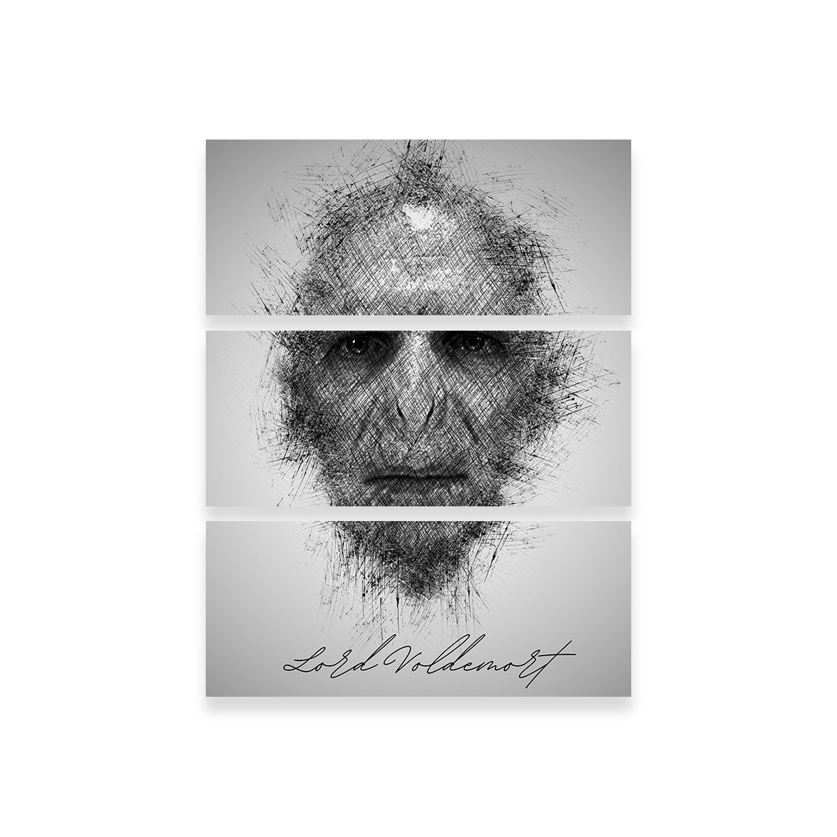 Magical Lord Voldemort Wall Art for Enthusiasts