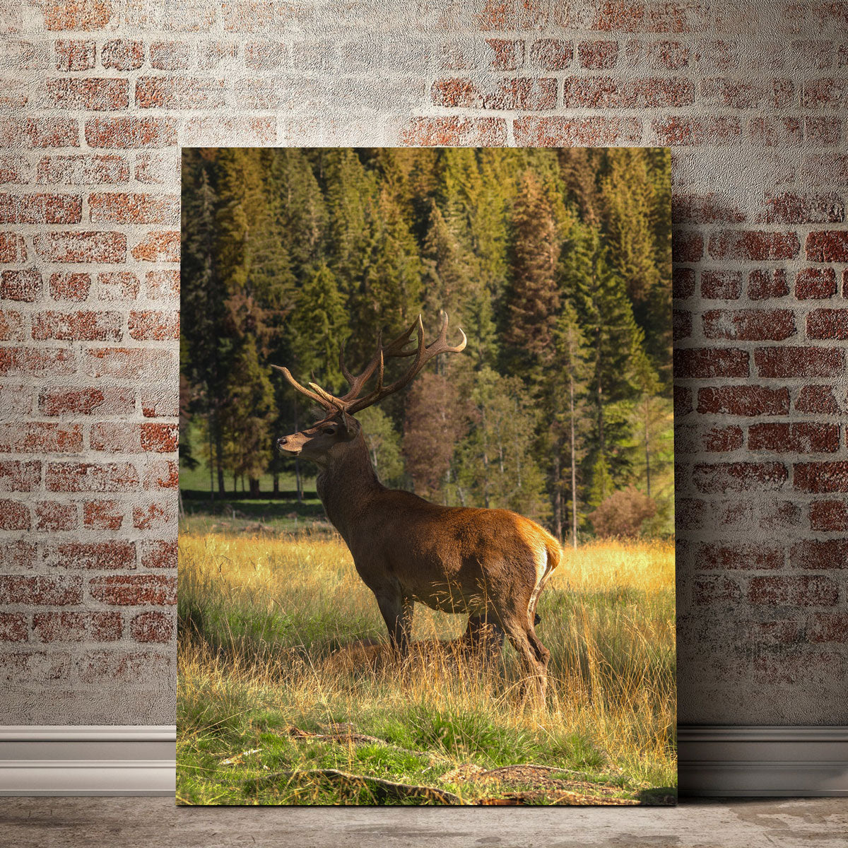 Exquisite Deer Wall Art by Enzo Romano