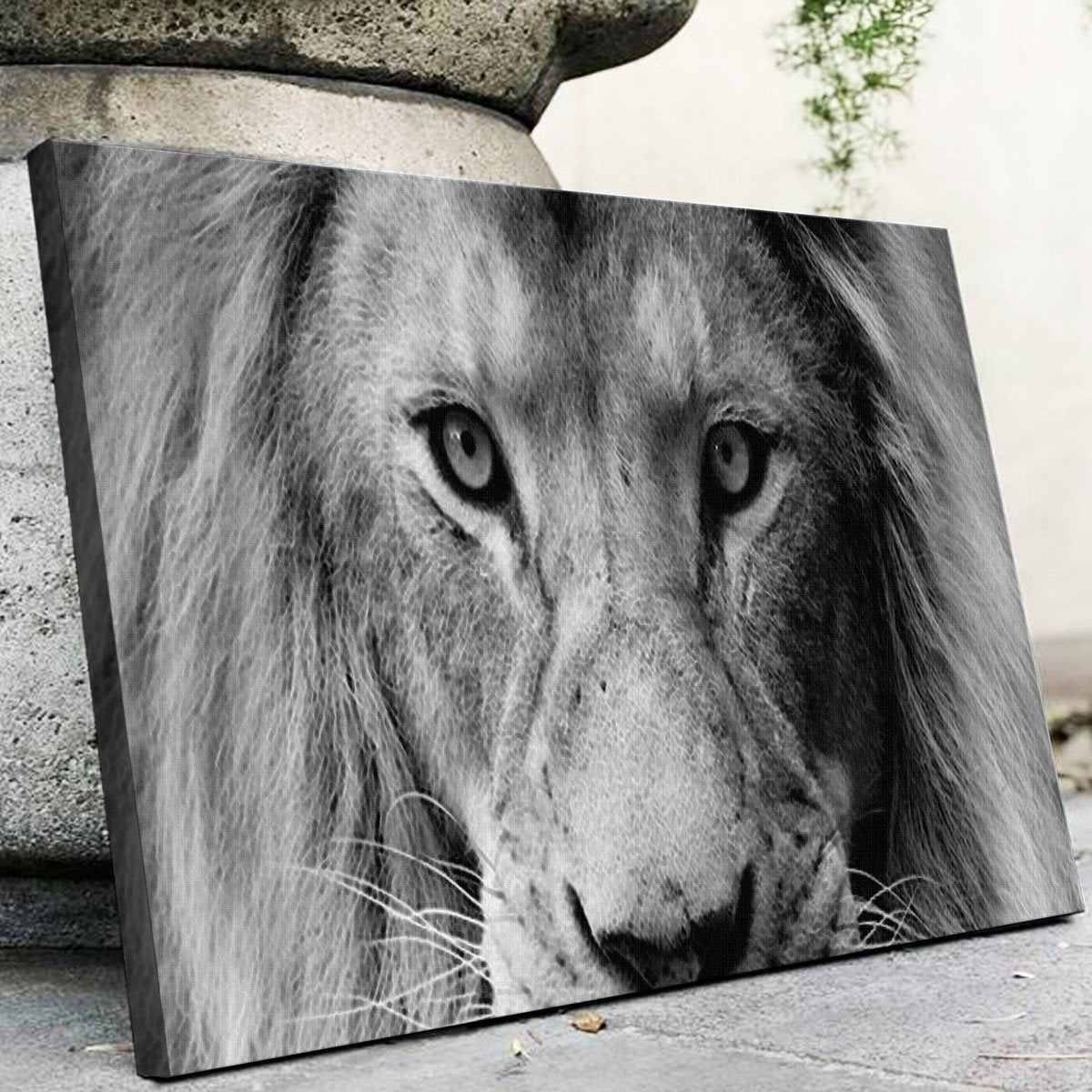 Exquisite Lion Wall Art for Stunning Decor