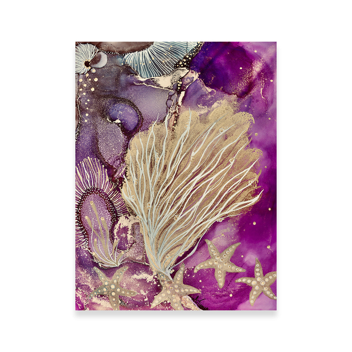 Stunning Blushing Reef Wall Art by Amy Tieman