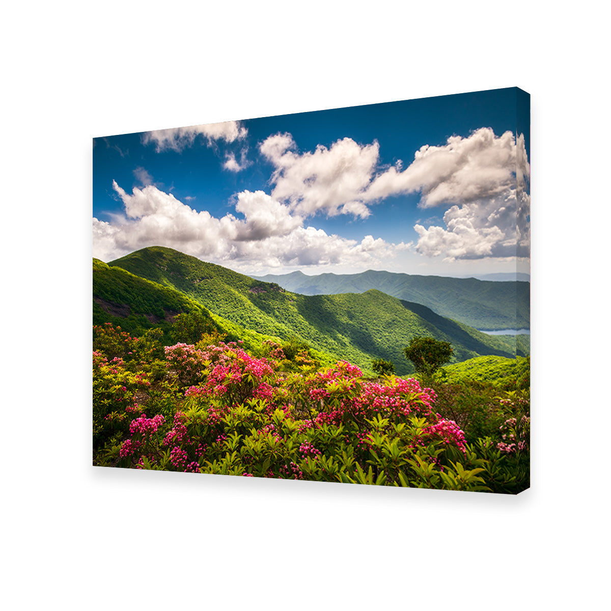 Stunning Blue Ridge Parkway Wall Art for Your Home Decor