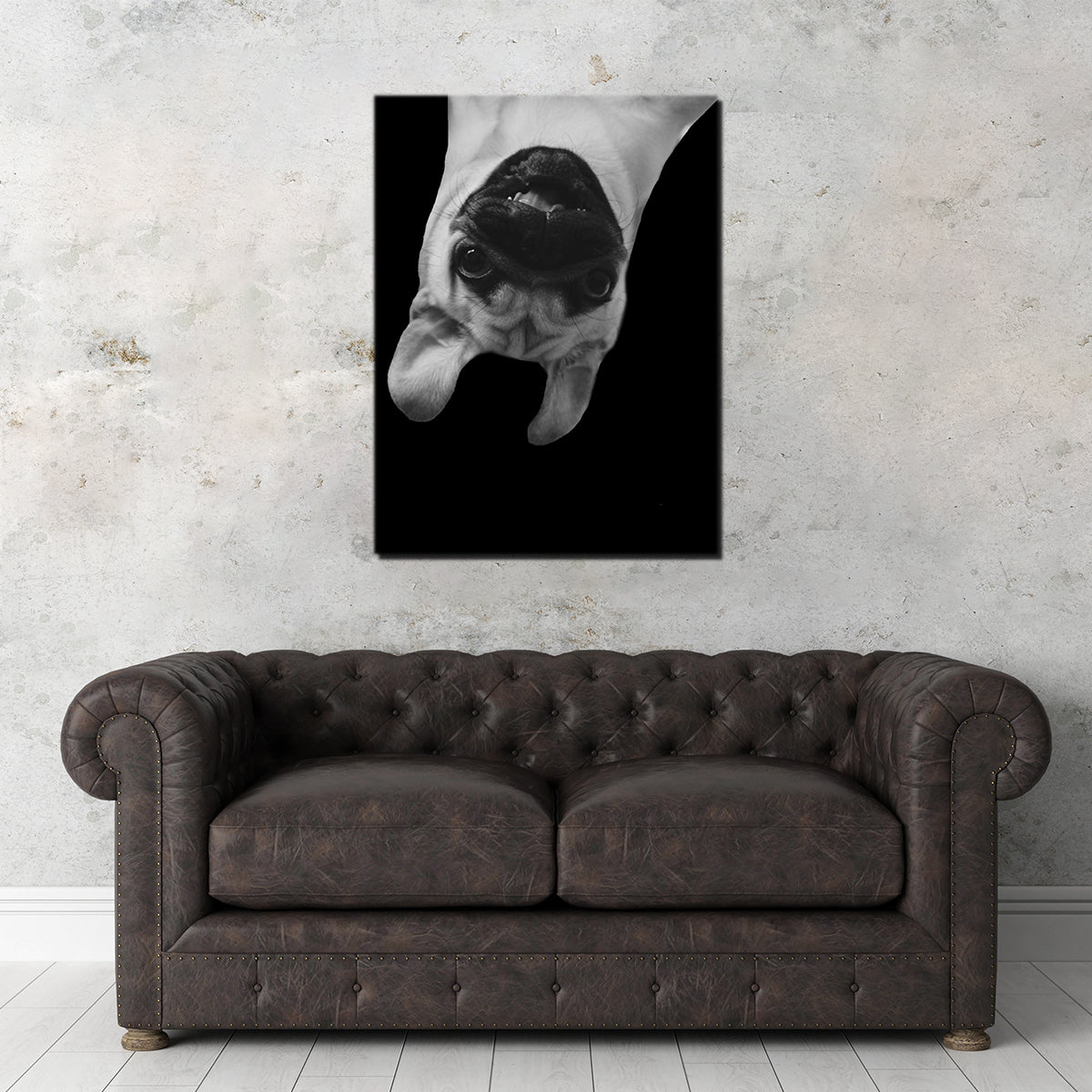 Hilarious Pug Dog Wall Art by Lawisi