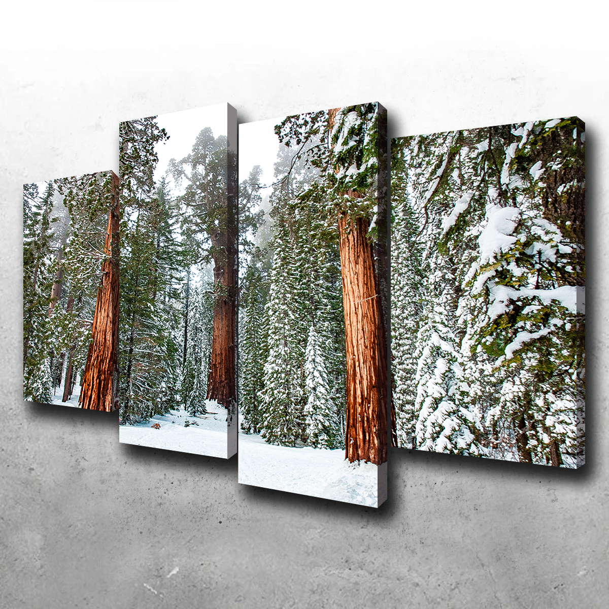 Kyle Sherry's Exquisite General Wall Art