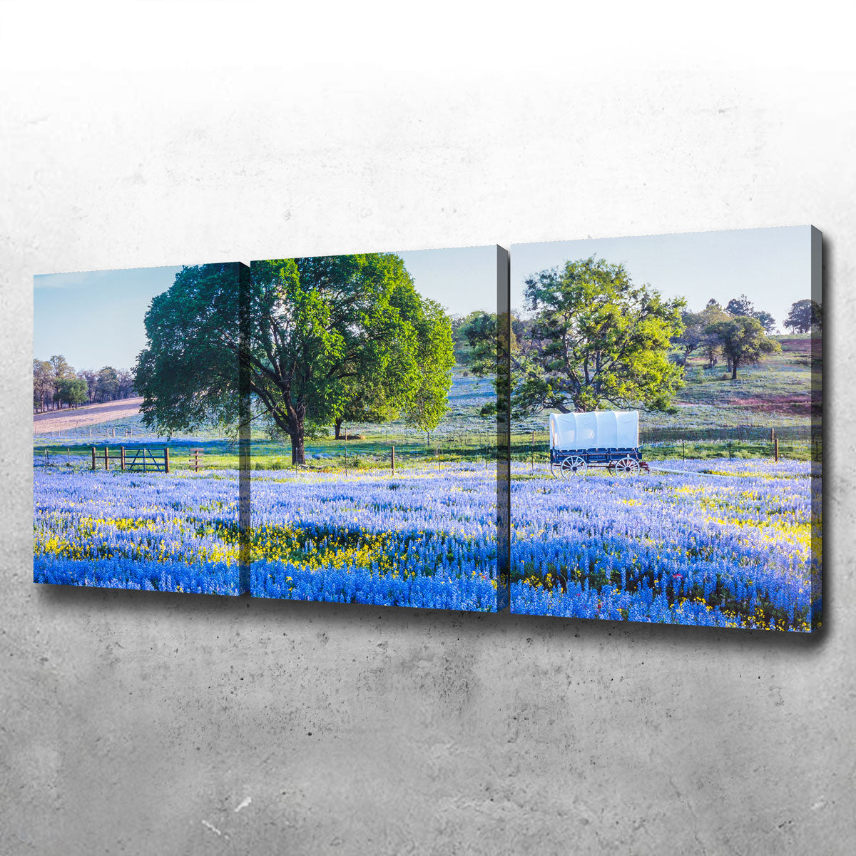 Gorgeous Texas Hill Country in Spring Wall Art for Stunning Home Decor