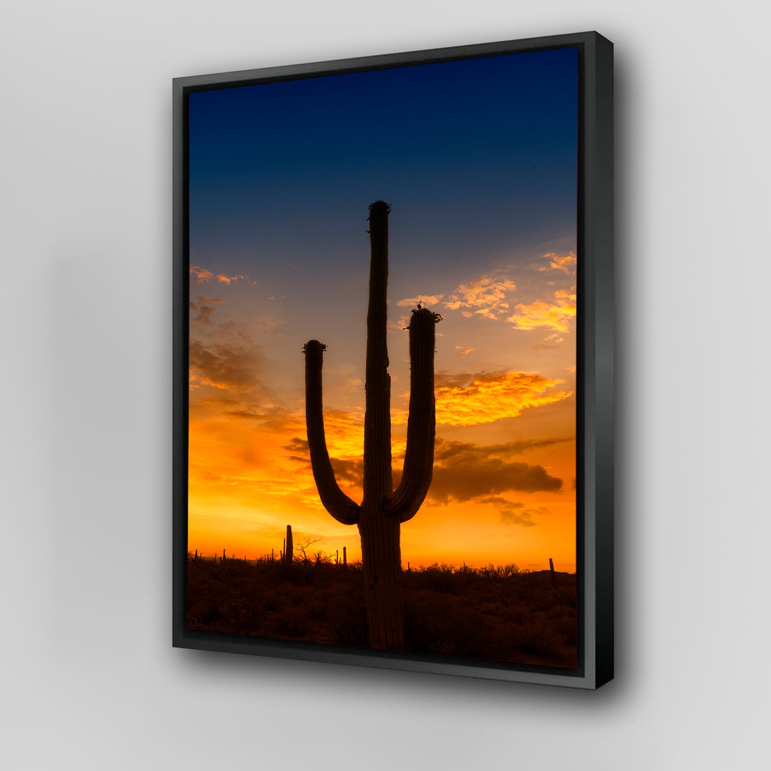 Breathtaking Saguaro National Park Sunset Wall Art by Melanie Viola