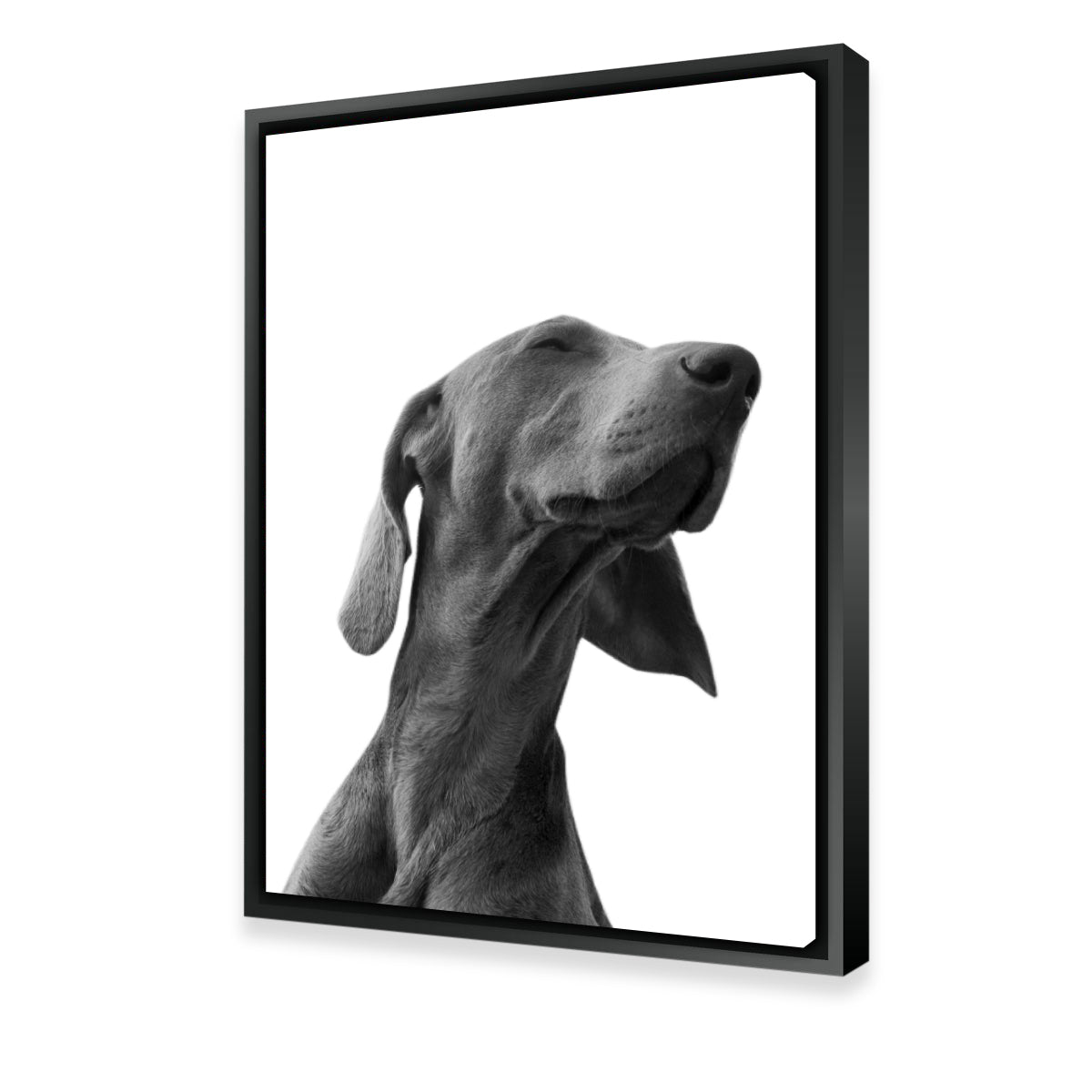 Stunning Black Dog Wall Art by Lawisi
