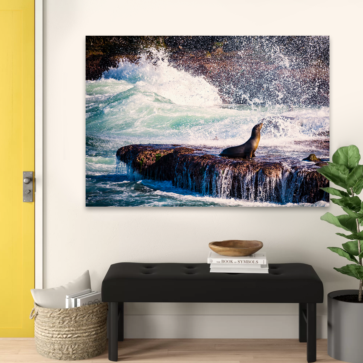 Stunning Sea Lion Surf La Jolla Wall Art for Coastal Home Decor