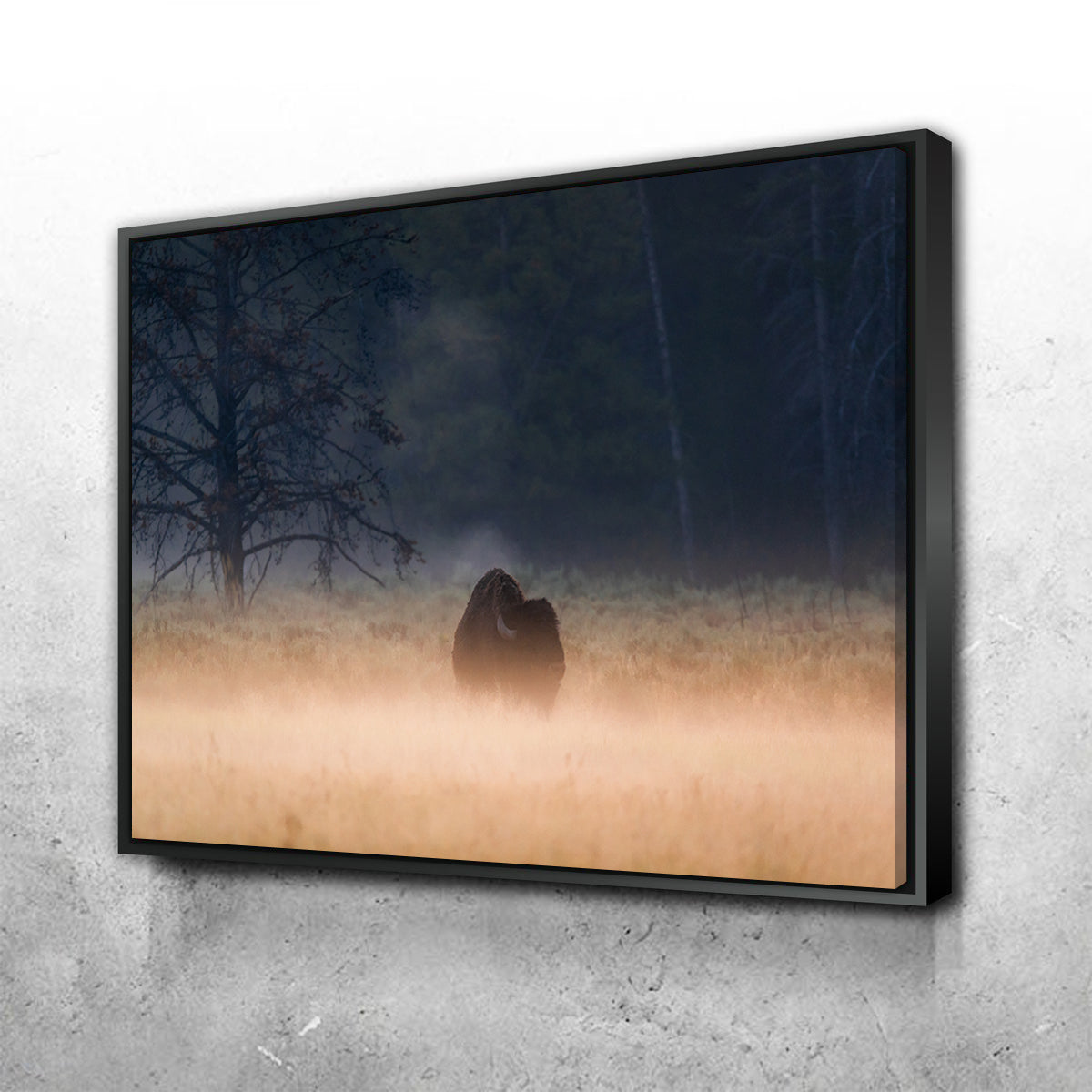 Enchanting Foggy Morning Wall Art by Lucas Moore