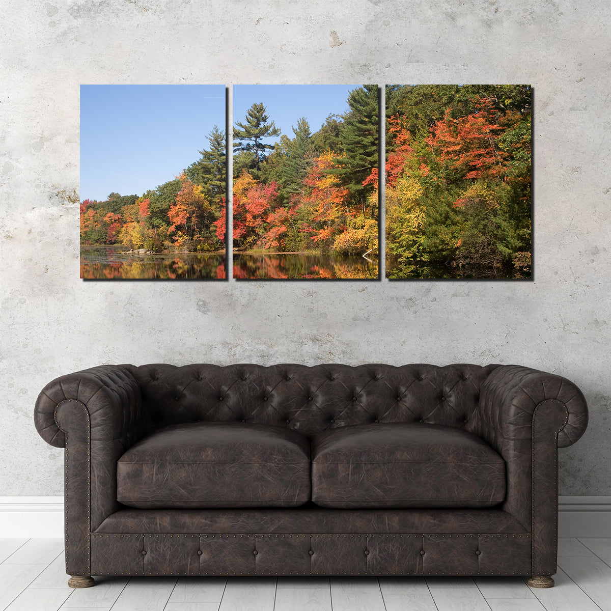 Stunning Harold Parker State Park Wall Art for Home Decor