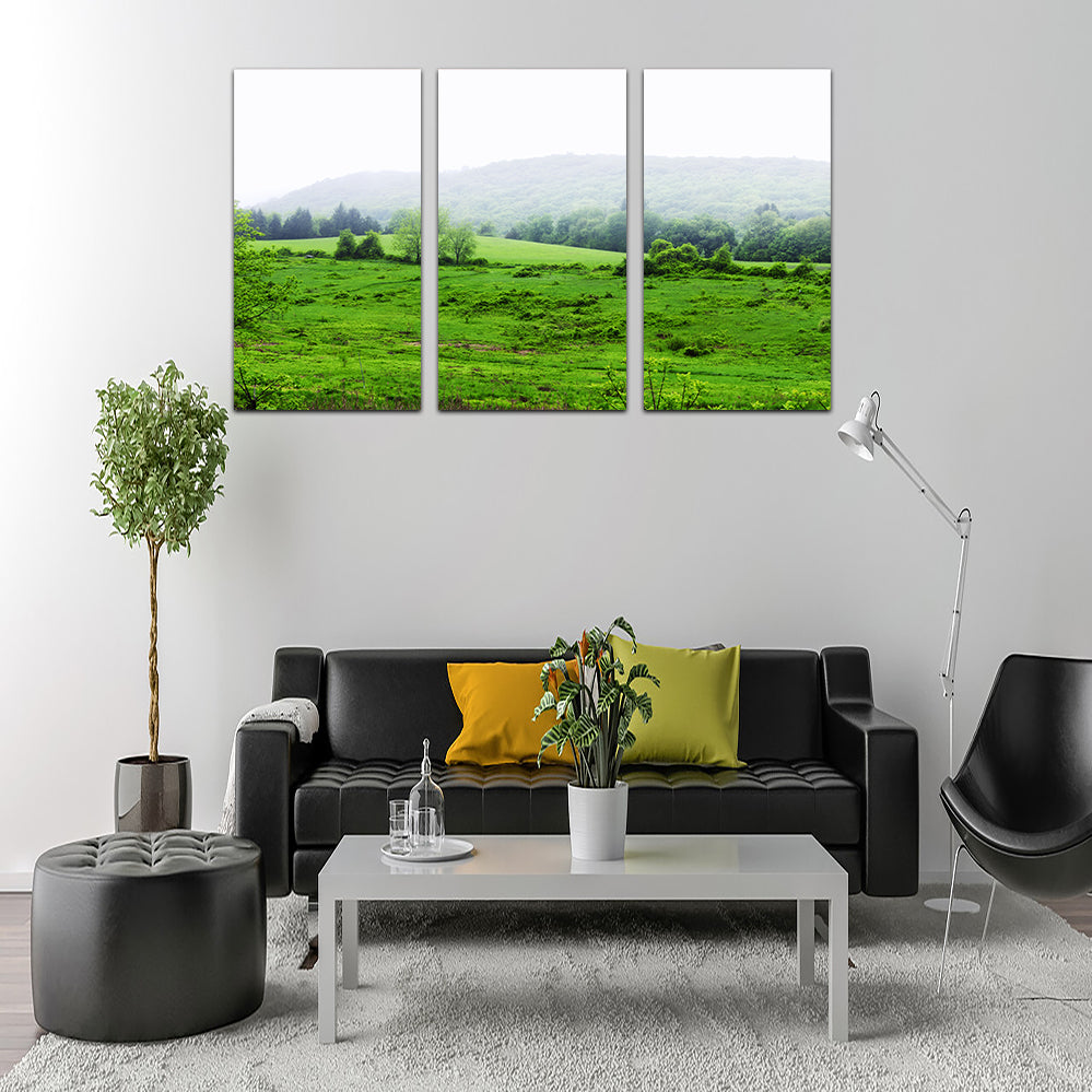 Tarrywile Park Stunning Wall Art for Your Home