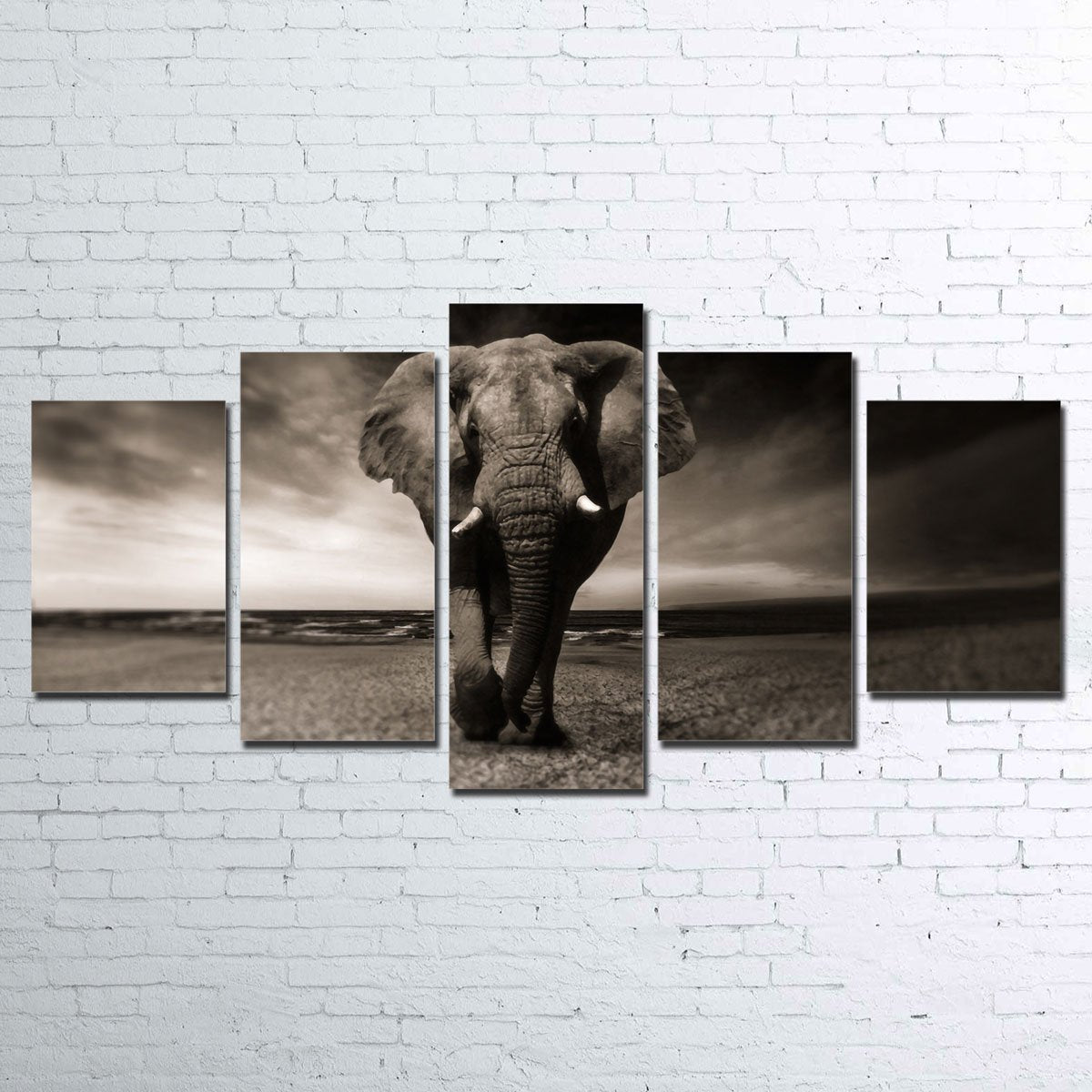 Exquisite Elephant 5 Piece Wall Art Set for Stunning Home Decor