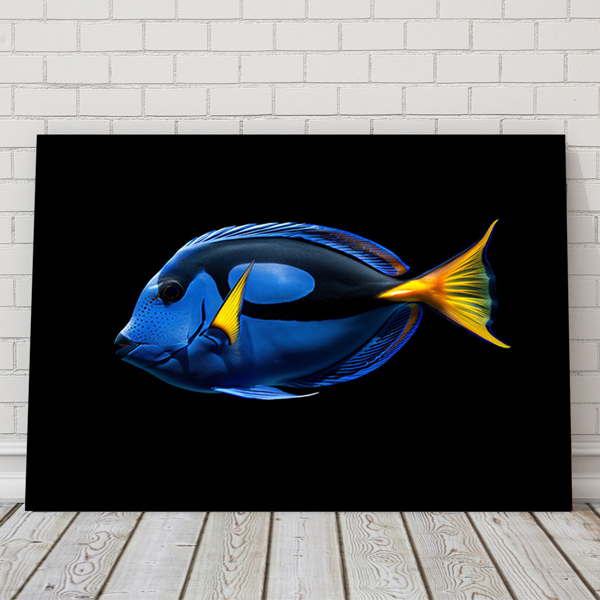 Stunning Regal Blue Tang Fish Wall Art for Home Decor