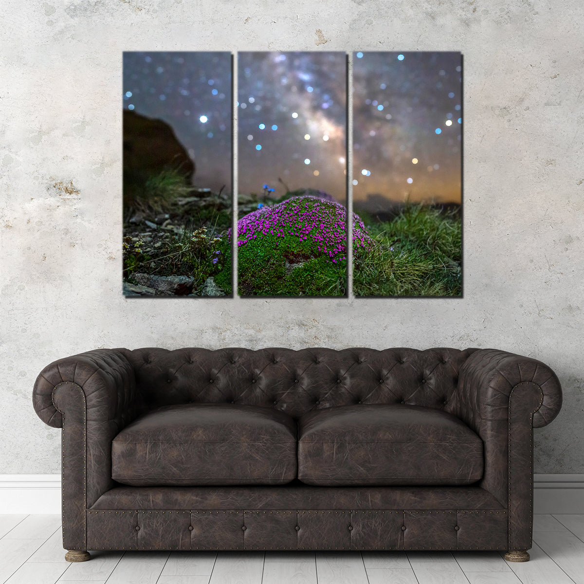 Gorgeous Star Studded Silène Wall Art by Jeff Graphy