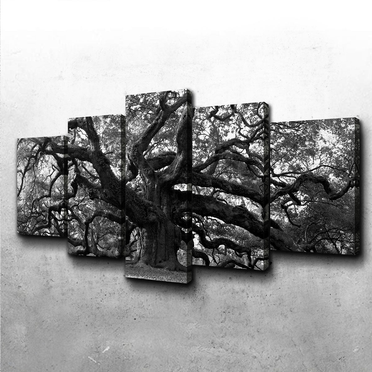Stunning Charleston Angel Oak V2 Wall Art for Home Decor